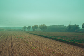 The Po Valley with fog (Pianura Padana, Italy)