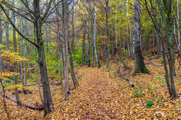 Herbst an den Hörselbergen in Thüringen