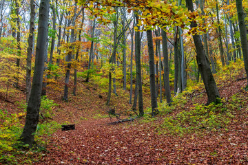 Obraz premium Herbst an den Hörselbergen in Thüringen