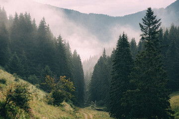 Landscape in Slovakia countryside