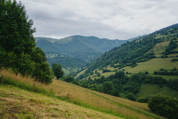 Obraz premium Landscape in Slovakia countryside