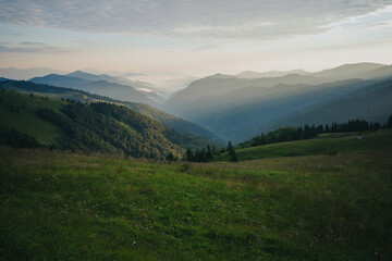 Obraz premium Landscape in Slovakia countryside