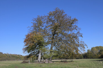 Naturschutzgebiet Wahner Heide Aggeraue