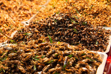 Worms and fried insects Spicy stir-fry at a market in Thailand that is Thai food. And has a lot of natural proteins.