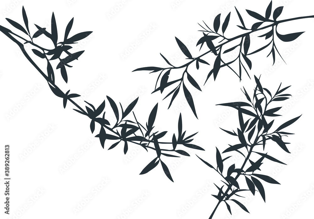Poster set of olive tree branches shapes. vector silhouette of bamboo rainforest