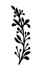 Branch with berries. Hand drawn doodle botanical element. Simple branch with little berries.