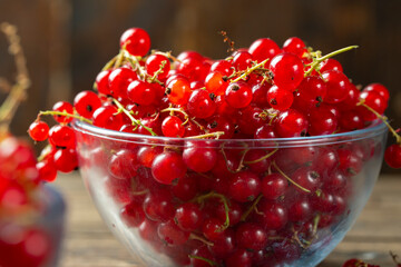 Fresh red currant berries in plate
