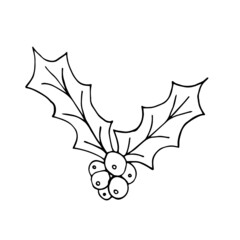 Mistletoe with berries illustration. Christmas traditional plant. Clip art isolated on white background. For holiday decor, greeting cards, prints, invitations. Hand drawn vector stock illustration.