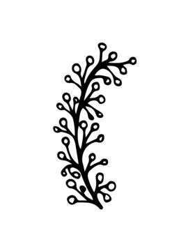 Branch with berries. Hand drawn doodle botanical element. Simple branch with little berries.