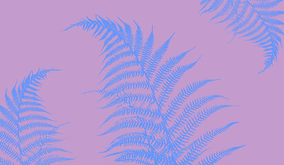 Tropical trendy background: silhouettes of fern leaves on a purple background. Horizontal illustration jpeg.