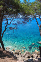 Turquoise sea with pine trees; coast line Tramuntana, Mallorca, Spain