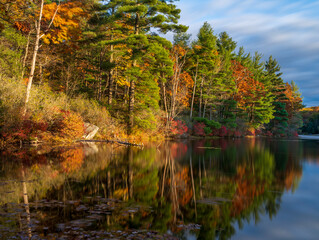 A pond in Massachusetts. 
