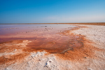 Unusual pink salt lake in the Crimea. Incredible reflection on the water surface