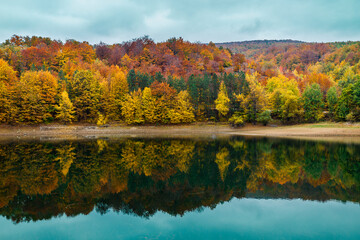 Autumn landscape with lake