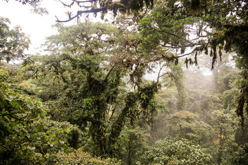 Views from the rain forest in Costa Rica.