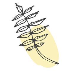 Ornamental leaves with color shape. Hand drawn vector illustrations on white background.