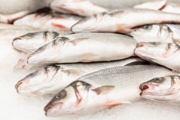 Fresh silver fish on ice on the counter. Close-up. Healthy food and vitamins.