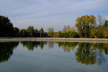 Fototapeta premium reflection of trees in water