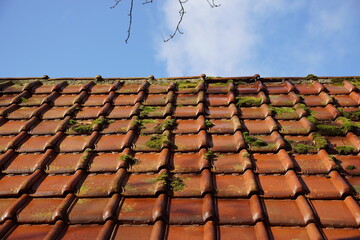 Old red glazed roof tiles, tuiles du nord overgrown with moss and a blue sky. Netherlands, autumn,...