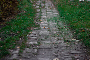 the paved path is overgrown with green grass