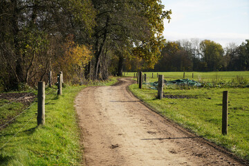 road in the countryside