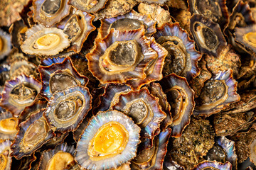 Napfschnecken (Lapas) auf dem Fischmarkt in Funchal (Madeira)