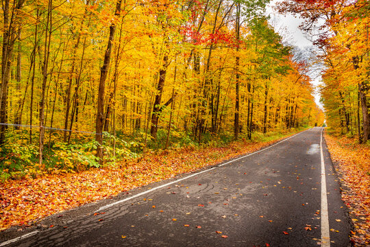 Perspective and autumn colours in this Canadian country road.