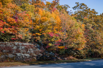 Fall color splendor on Blue Ridge Parkway in Autum.CR2