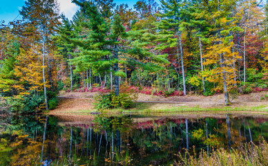 Forest lake and fall autumn colors