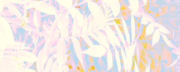 Pink Botany Backdrop. Orange Botanical Canva. Bright Elegance Banner. White Luxury Decoration. Blue Fantasy Banner. Pastel Meditation Photo. Orange Abstract Poster.