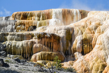 Fototapeta na wymiar Mammoth Hot Springs Terrace, Yellowstone National Park and Preserve, USA. 
