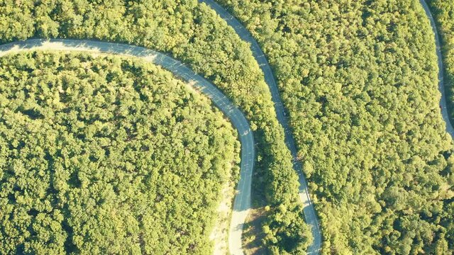 flight with drone above deep forest and curved mountain road.