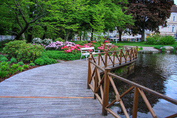 Beautiful park in the city