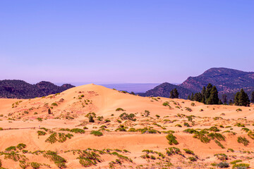 Fototapeta na wymiar Coral Pink Sand Dunes State Park