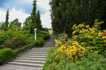 High stairs in the city park