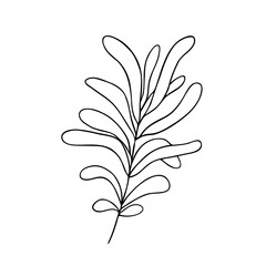 Leaves simple outline vector minimalist concept illustration, thin line hand drawn floral branch, element for invitations, greeting cards, booklet design