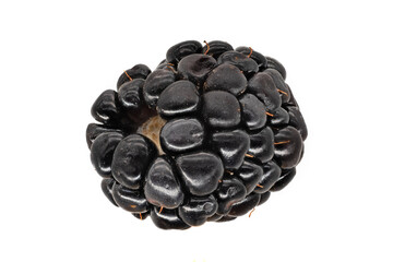 Brombeere Nahaufnahme