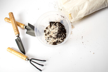 Gardening tools isolated on white background. Planting indoor flowers. Copy space for design.