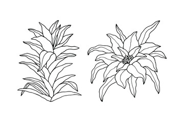Decorative flowers. Vector stock illustration eps10.