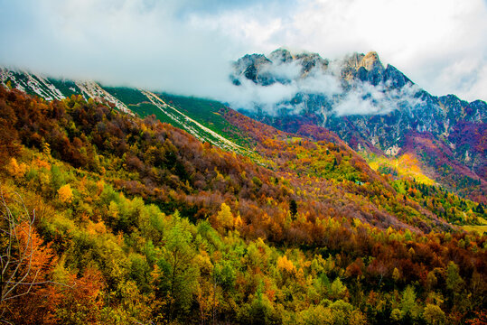 clouds, peaks and foliage