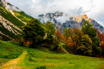 Fototapeta premium dream landscape