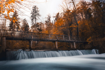 Lonely bridge in autumn forest