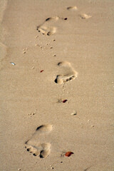 Fototapeta na wymiar Footprints in sand. Mark of human presence. 