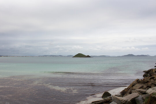 View of a part of the sea with algae (seaweed) , darkening the water. Phenomenon caused by algae and bryozoans, marine organisms.