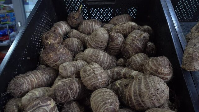 Pile of raw, unpeeled tropical Eddoes, Colocasia antiquorum, on a market stall in the UK