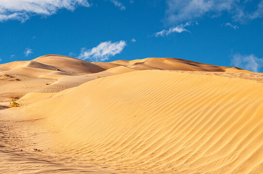 Offroad Jeep safari in the Omani Rub al-Chali Desert