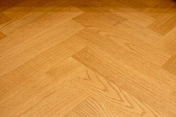 Wooden floor in a closeup shot