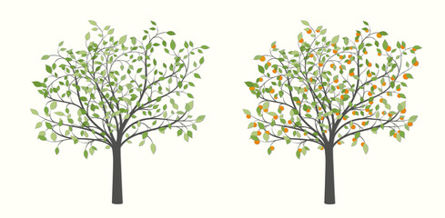Drawing of a tree with green leaves and red fruit in two versions