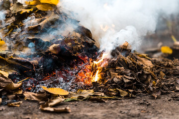 Burning. Autumn bonfire with smoke. Yellow leaves in the smoke.