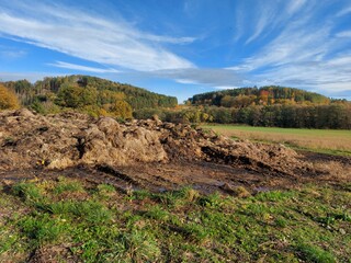 landscape with green grass and sky 
Šumava